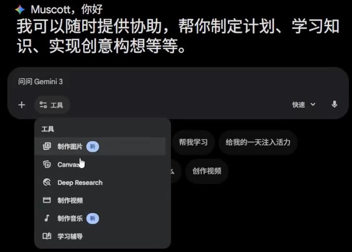 Gemini功能缺失解决方法