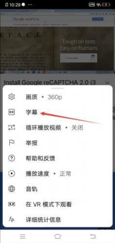 YouTube中文版
