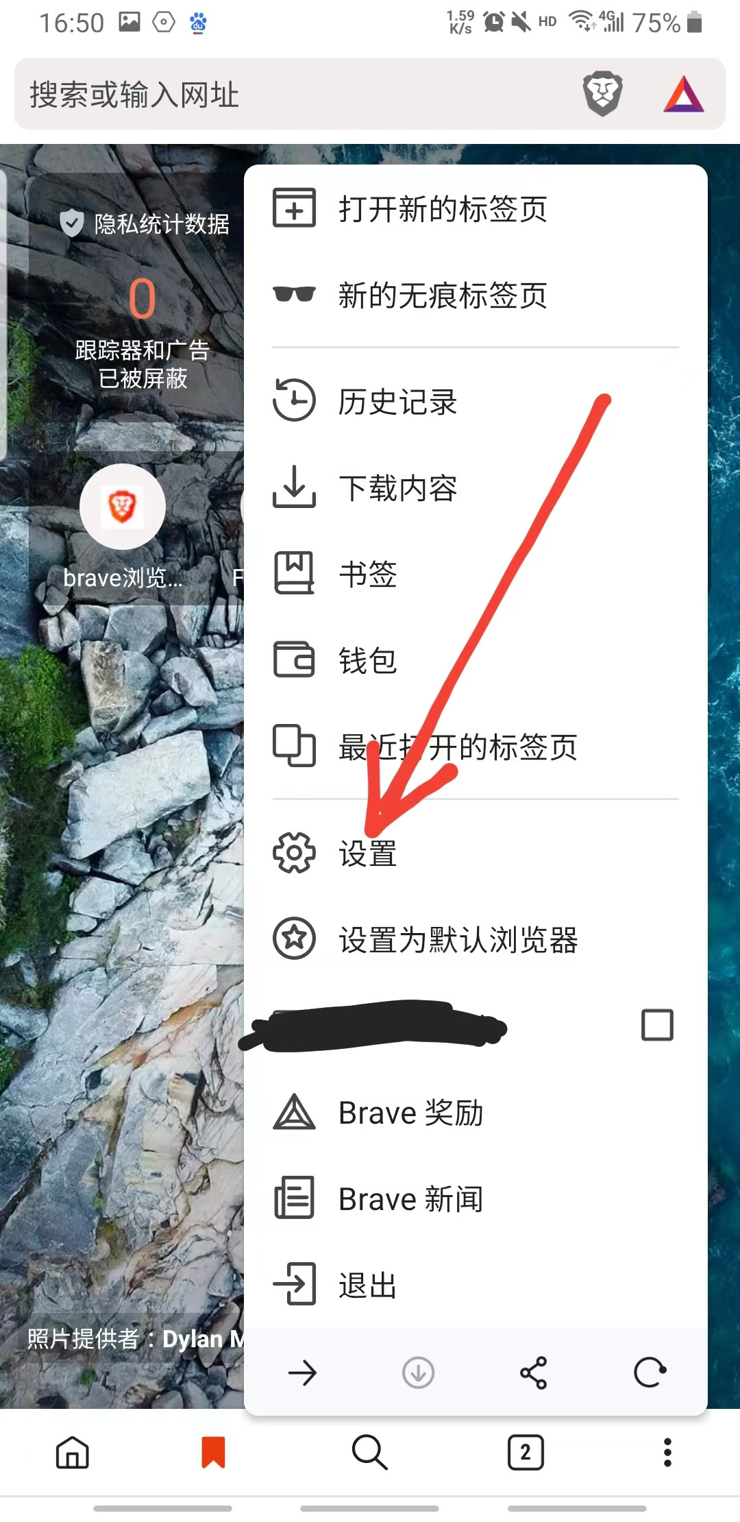 brave浏览器