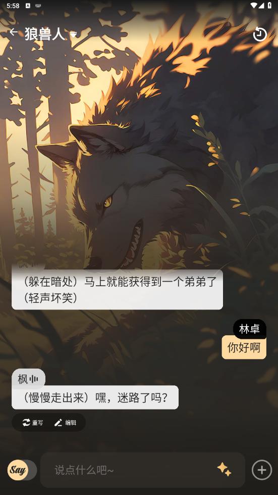截图 sayloai 3