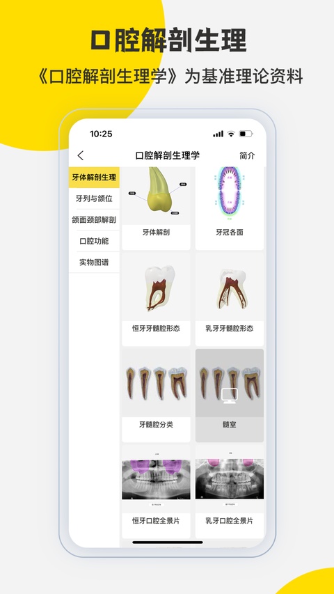 截图 3DBody解剖 4