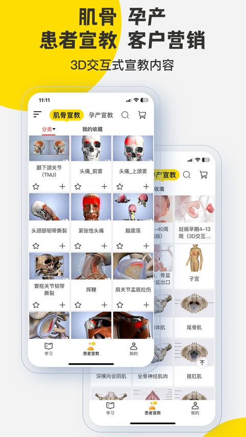 截图 3DBody解剖 2