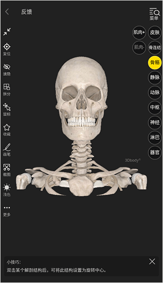 3DBody解剖