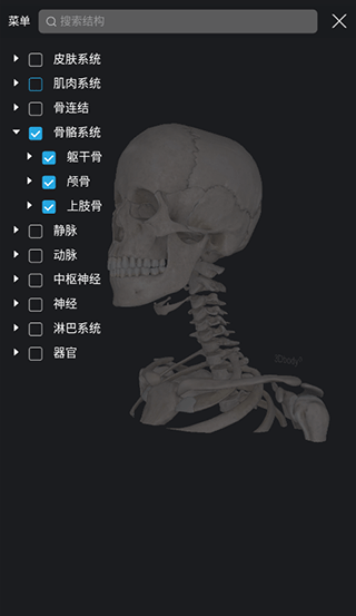3DBody解剖