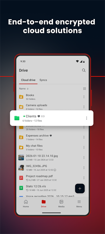 截图 MEGA云盘 3
