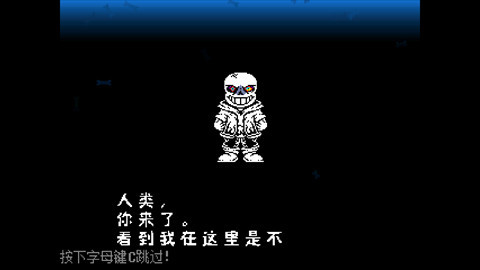 传说之下白菜遭遇战