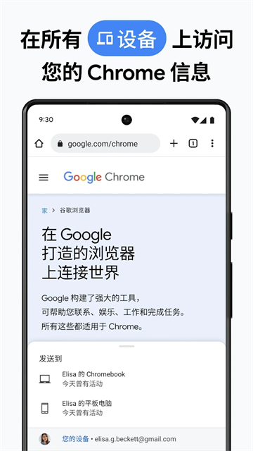 截图 GoogleChrome 4