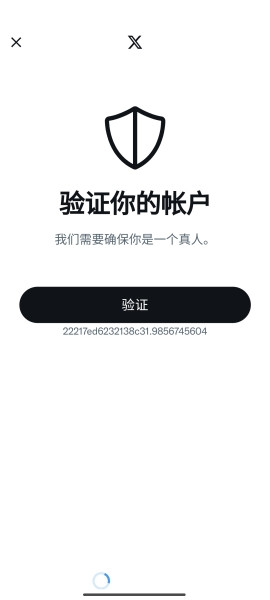 X账号创建