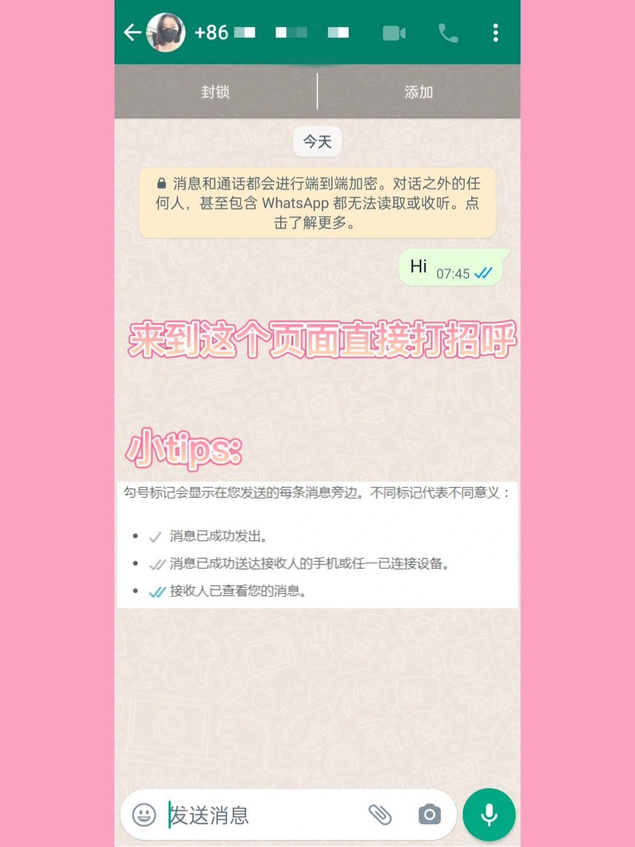 WhatsApp聊天