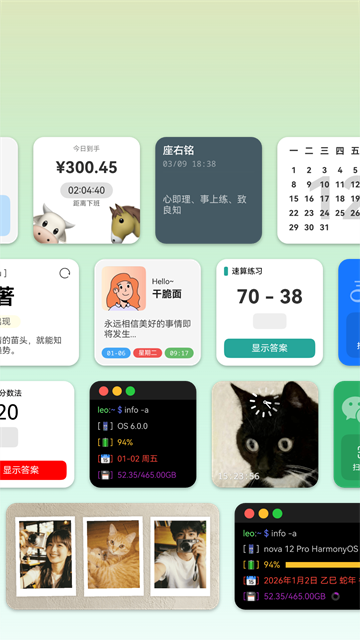 截图 万象小组件 4