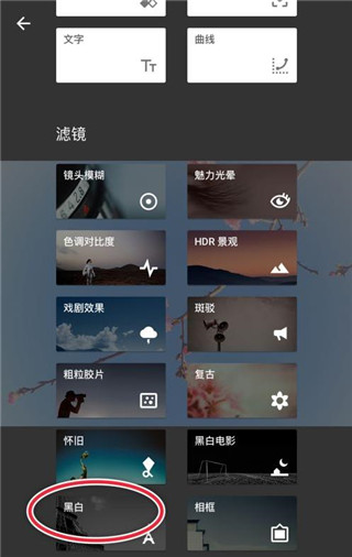Snapseed手机版