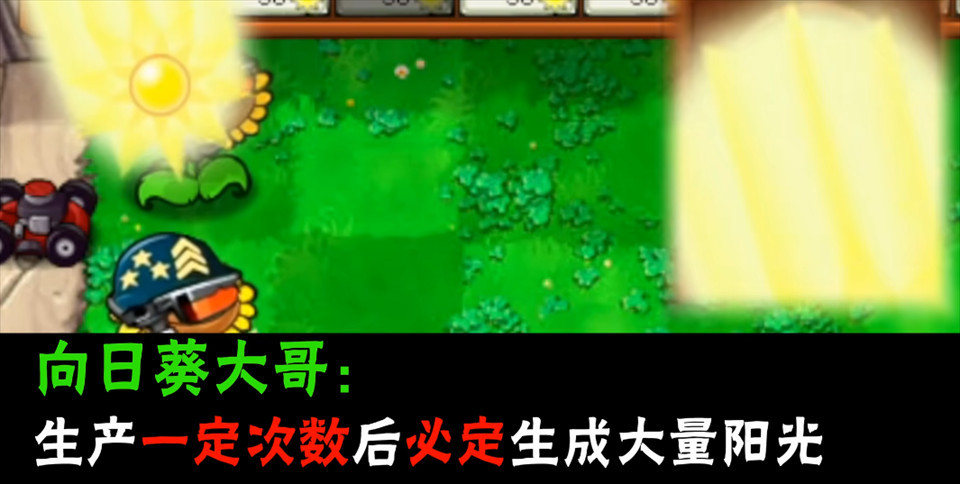 植物大战僵尸大哥版