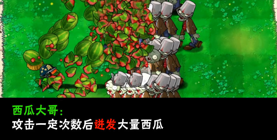 植物大战僵尸大哥版
