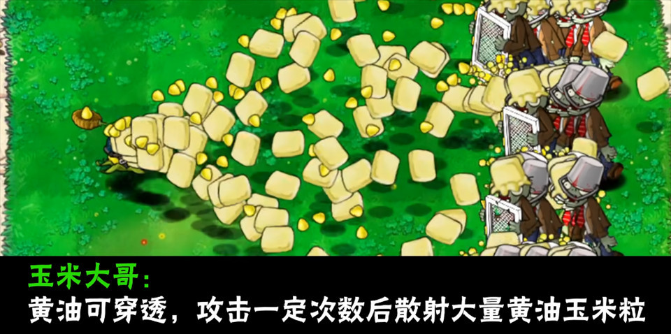 植物大战僵尸大哥版