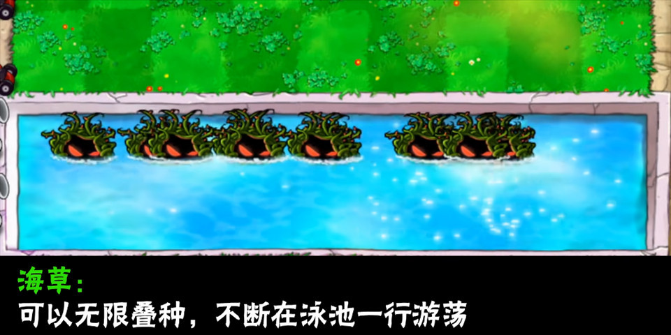 植物大战僵尸大哥版