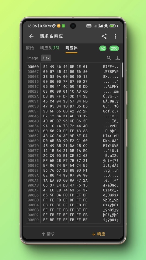 截图 Reqable 4