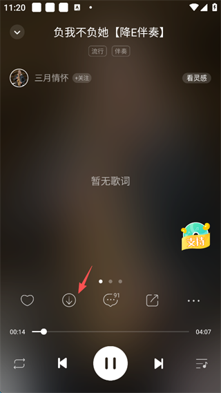 5sing