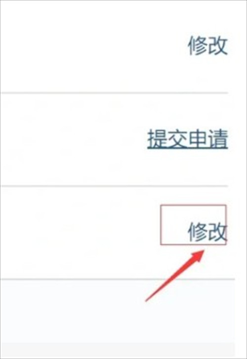 VK中文版