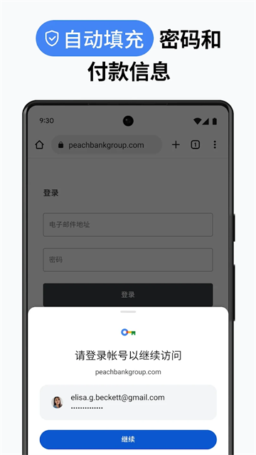 截图 Google浏览器 5